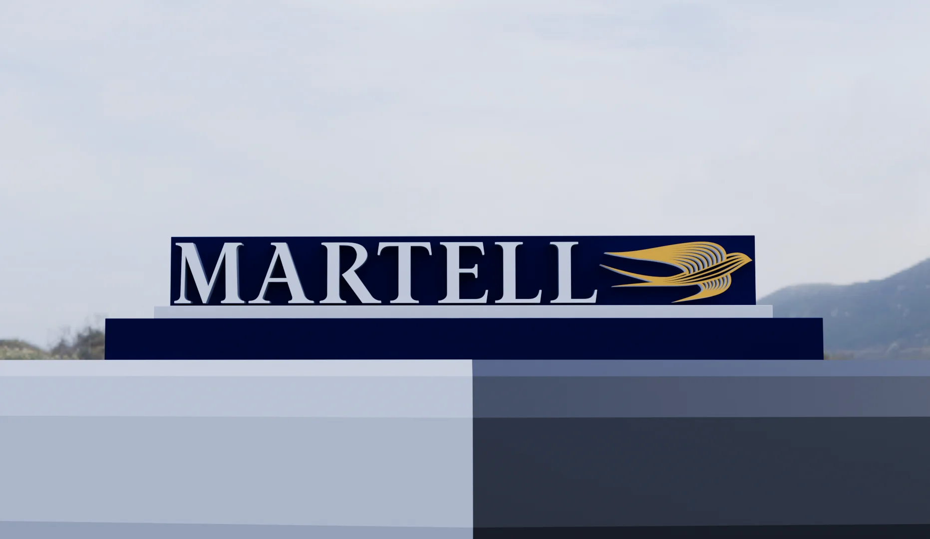 Visualization - Image 3
